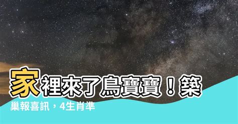 鳥來家築巢|【家裡有鳥築巢】鳥巢報喜！1個跡象代表家宅運勢大。